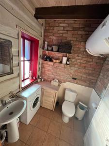 a bathroom with a toilet and a sink at Begedziu misko sodyba in Grynaičiai