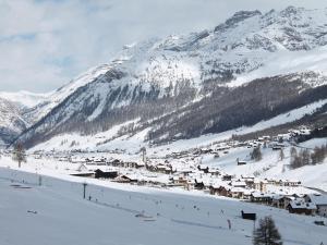 Gallery image of Belvilla by OYO Vent in Livigno