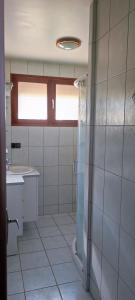 ein Badezimmer mit Dusche und Waschbecken in der Unterkunft Nature et vue in Ménétru-le-Vignoble