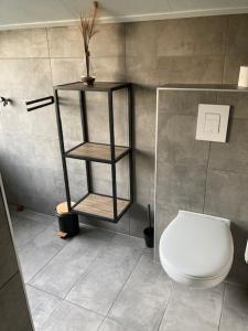 a bathroom with a toilet and a shelf next to it at Achterhoekse vakantiewoning, infraroodsauna, geweldig uitzicht, goede bedden in Aalten +8 photos