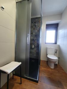 uma casa de banho com um WC e uma cabina de duche em vidro. em PORTILLO - LA COLINA em Arnuero