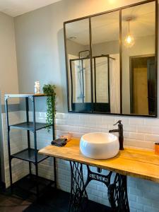 a bathroom with a sink and a mirror on a counter at Studio Muret atypique in Muret