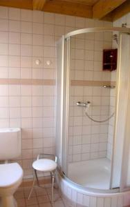 uma casa de banho com um chuveiro e um WC. em Ferienhaus Nr 12A3, Feriendorf Hagbügerl, Bayr Wald em Waldmünchen