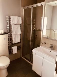 een badkamer met een douche, een toilet en een wastafel bij Leanna's Lodge, Keshcarrigan in Leitrim