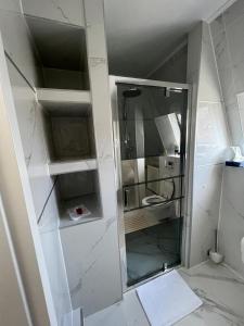 a shower with a glass door in a bathroom at Elbe Villa Magdeburg in Magdeburg