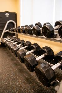a row of dumbbells on a rack in a gym at Hotel 11, MOD A Sonesta Collection in Calgary