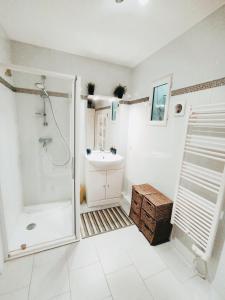 ein Bad mit einer Dusche und einem Waschbecken in der Unterkunft Bas de villa. Côte d'Azur, à 20 kms de Nice in Contes