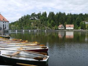 Una fila de barcos se alinean en el agua en Ferienhaus Nr 7B2, Feriendorf Hagbügerl, Bayr Wald, en Waldmünchen