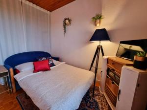 a small bedroom with a bed and a television at Studio avec superbe vue 5min à pied des Thermes in Bagnoles de l'Orne