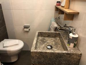 a bathroom with a sink and a toilet at Harmony Studio in Annecy