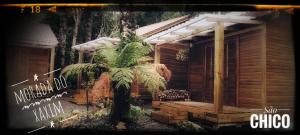 舊金山德保的住宿－Morada do Xaxim - Chalé Hortência，一张小屋的照片,前面有一棵棕榈树