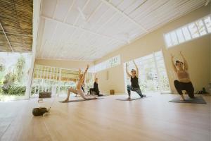 Hosté ubytování Sonora Jungle & Yoga Retreat