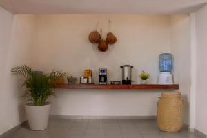 a kitchen with a shelf with a coffee maker and a plant at Soy Local Cancun in Cancún