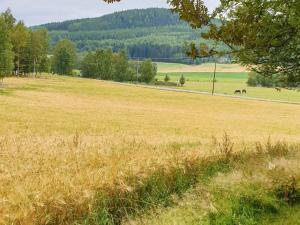 a field of grass with horses in the distance at 4 person holiday home in J RVS in Järvsö