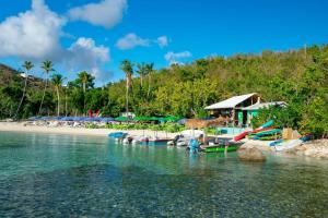 un grupo de barcos están atracados en una playa en Virgin Islands Campground, en Water Island