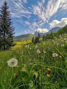 Afbeelding uit fotogalerij van STUDIO LES GLOVETTES in Villard-de-Lans