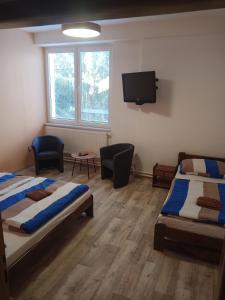 TV a/nebo společenská místnost v ubytování Penzion Koupaliště