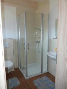 a bathroom with a shower and a toilet and a sink at Ferienhaus Nr 17B2, Feriendorf Hagbügerl, Bayr Wald in Waldmünchen