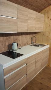 una cucina con armadi in legno e lavandino di Maringotka/tiny house SEN VYSOČINA a Věstoňovice