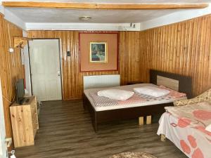 a bedroom with two beds and a tv in it at Cabana Veche Azuga in Azuga