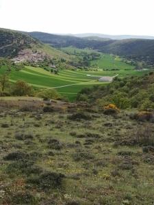 uitzicht op een veld vanaf de top van een heuvel bij Caballito de Madera in Pelegrina