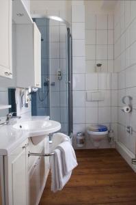 a bathroom with a shower and a sink and a toilet at Hotel Vier Löwen in Traben-Trarbach