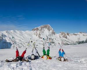 Hosté ubytování Alpenrose Nassfeld