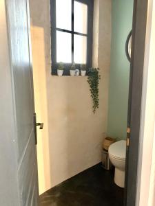 a bathroom with a toilet and a window with potted plants at Studio Muret atypique in Muret