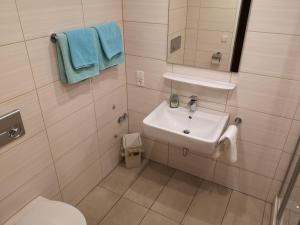 a small bathroom with a sink and a toilet at B3 Albmatte-FEWO Sauna, Hallenbad Außenbecken Massagen nebenan in Menzenschwand