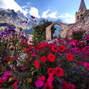 een bloemenveld met een kerk op de achtergrond bij Esprit de la Meije - Chalet overlooking the Meije in La Grave