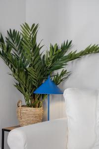 a plant in a basket next to a white couch at Casa Boma Lisboa - Elegant and Charming Apartment - Alcantara V in Lisbon