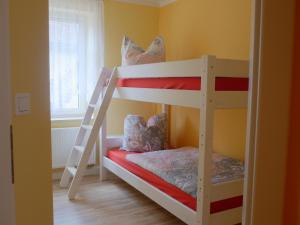 a bedroom with two bunk beds with a ladder at Ferienwohnung Am Lindenbaum in Kirnitzschtal