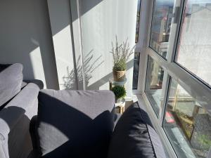 A seating area at OKTHEWAY Castelao Street