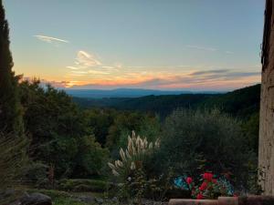 Φυσικό τοπίο κοντά σε αυτή η παραθεριστική κατοικία