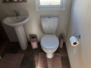 a small bathroom with a toilet and a sink at Lovely 3-Bed Caravan with Hot Tub in Lincolnshire in Lincoln