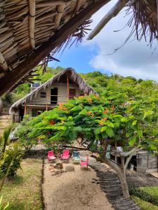 un groupe de chaises et une maison avec un arbre dans l'établissement Casa Surf Lodge - Tofo, à Praia do Tofo