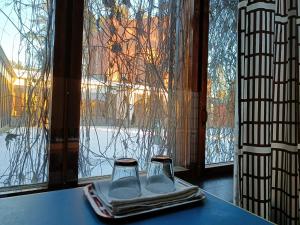 Säynätsalo的住宿－Säynätsalo Town Hall，两杯玻璃坐在窗边的托盘上