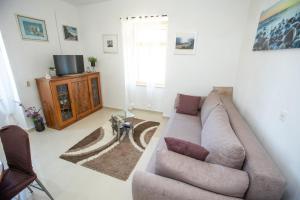 un soggiorno con un divano e una TV di Apartment Brunac a Brbinj