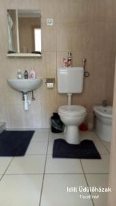 Kúpeľňa v ubytovaní Idill Üdülőház 2 + 12 fotografií