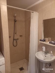 a bathroom with a shower and a sink at Idill Üdülőház 2 in Tiszafüred