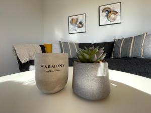 dos jarrones sentados en una mesa en una sala de estar en Ferienwohnung Watt'n Ausblick, en Simonsberg