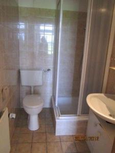 La salle de bains est pourvue de toilettes, d'une douche et d'un lavabo. dans l'établissement Ferienwohnung-Haus-luetje-wehr, à Hattstedtermarsch