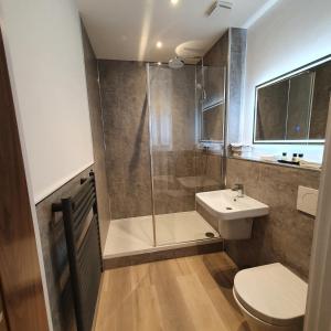 a bathroom with a shower and a toilet and a sink at Central Penthouse with Hot Tub & Views 24 in Cheltenham
