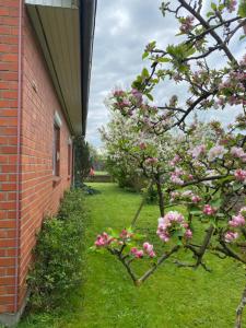 a brick building with pink flowering trees in a yard at Ferienhaus Annu in Lensahn