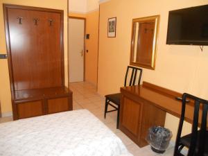 TV a/nebo společenská místnost v ubytování Hotel Salus