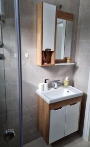 uma casa de banho com um lavatório, um espelho e um chuveiro em Apartman Nana Divčibare em Divčibare