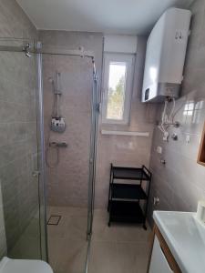 uma casa de banho com um chuveiro e uma cabina de duche em vidro. em Apartman Nana Divčibare em Divčibare