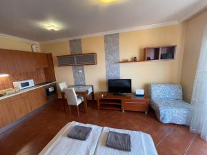 Kuchyň nebo kuchyňský kout v ubytování Club218 Holiday Apartman Siófok