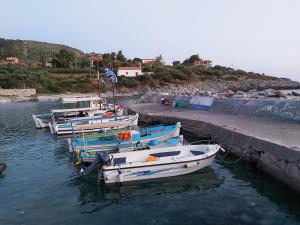 Φυσικό τοπίο κοντά σε αυτή η παραθεριστική κατοικία