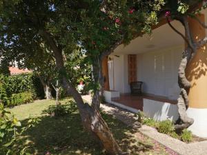 vista su una casa con alberi nel cortile di Oura Villa V5 ad Albufeira